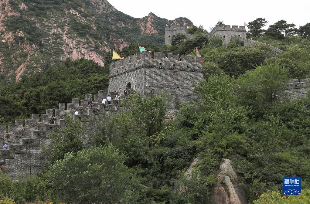 bg游戏下载